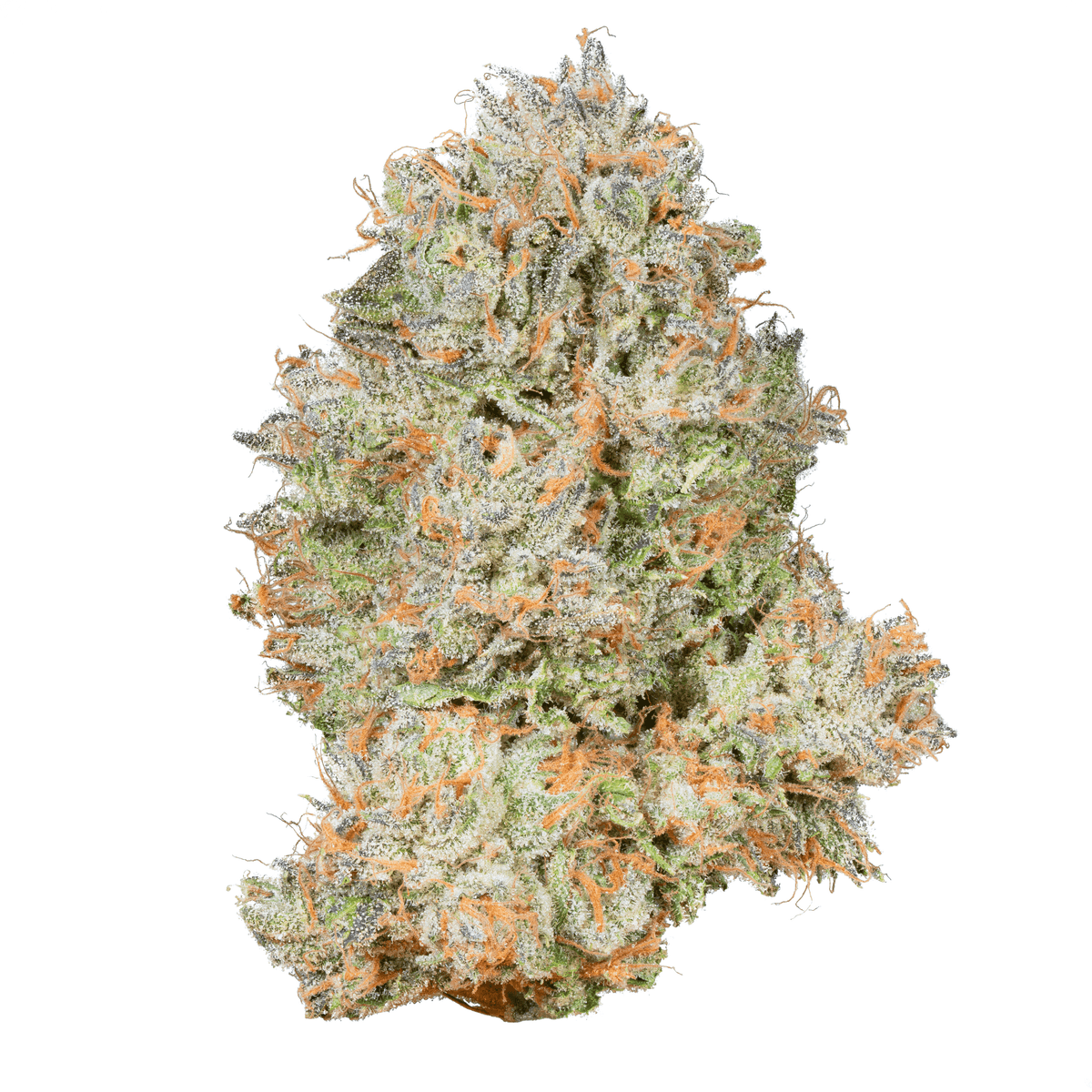【世界100台】WEED Blues D 2 MA104B BD-2 世界100台】WEED Blues Driver 2 MA104B BD-2