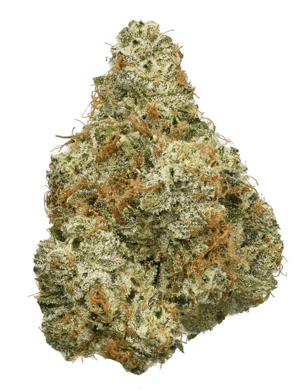 Ghost OG