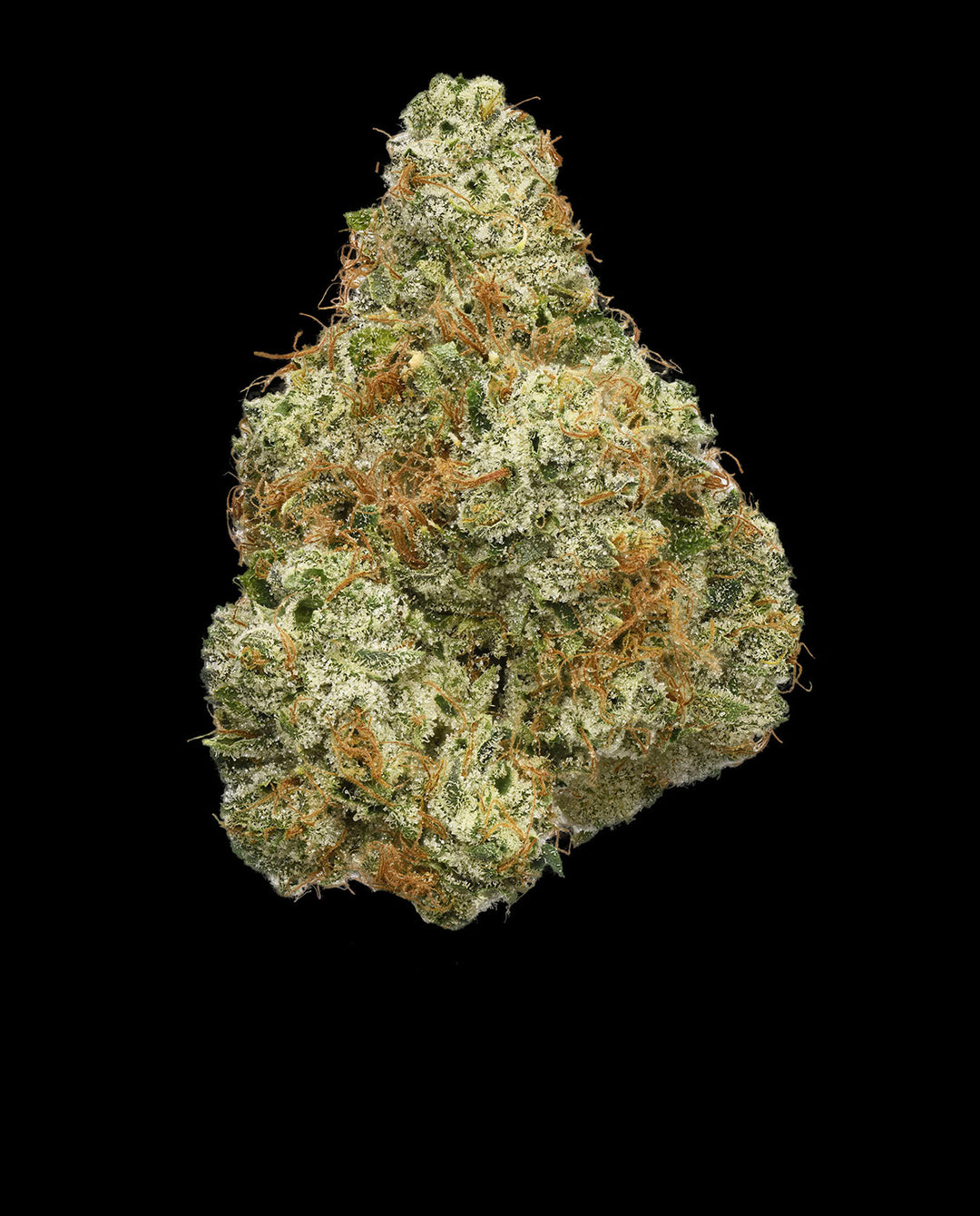 Connected Ghost OG