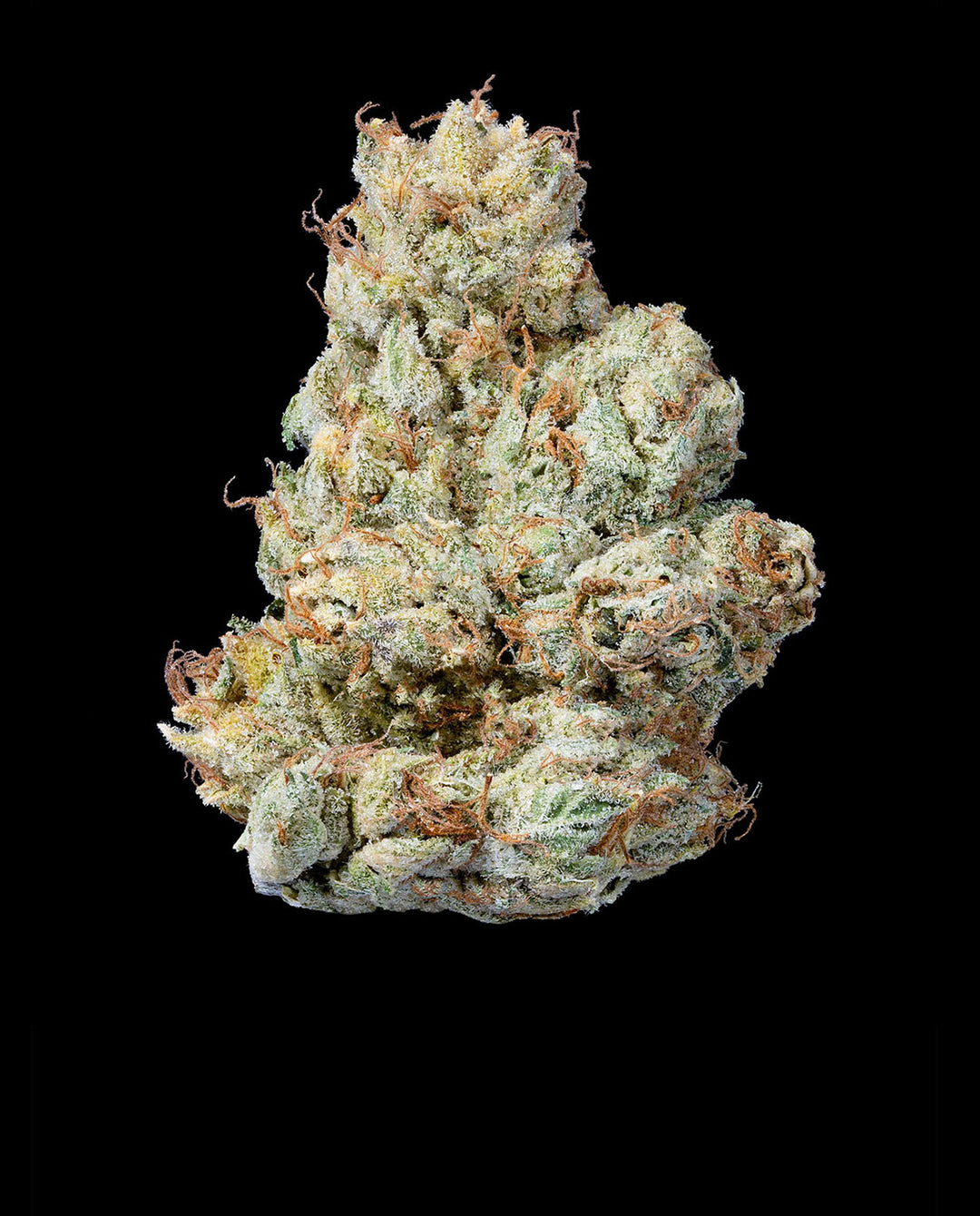 Connected Hermosa Kush