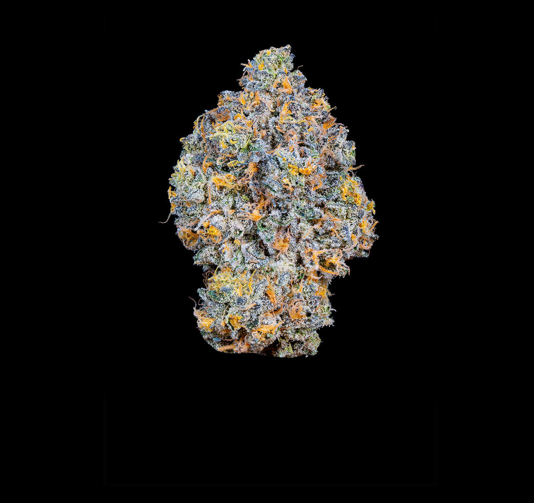 Connected Rainbow Sherbert 11