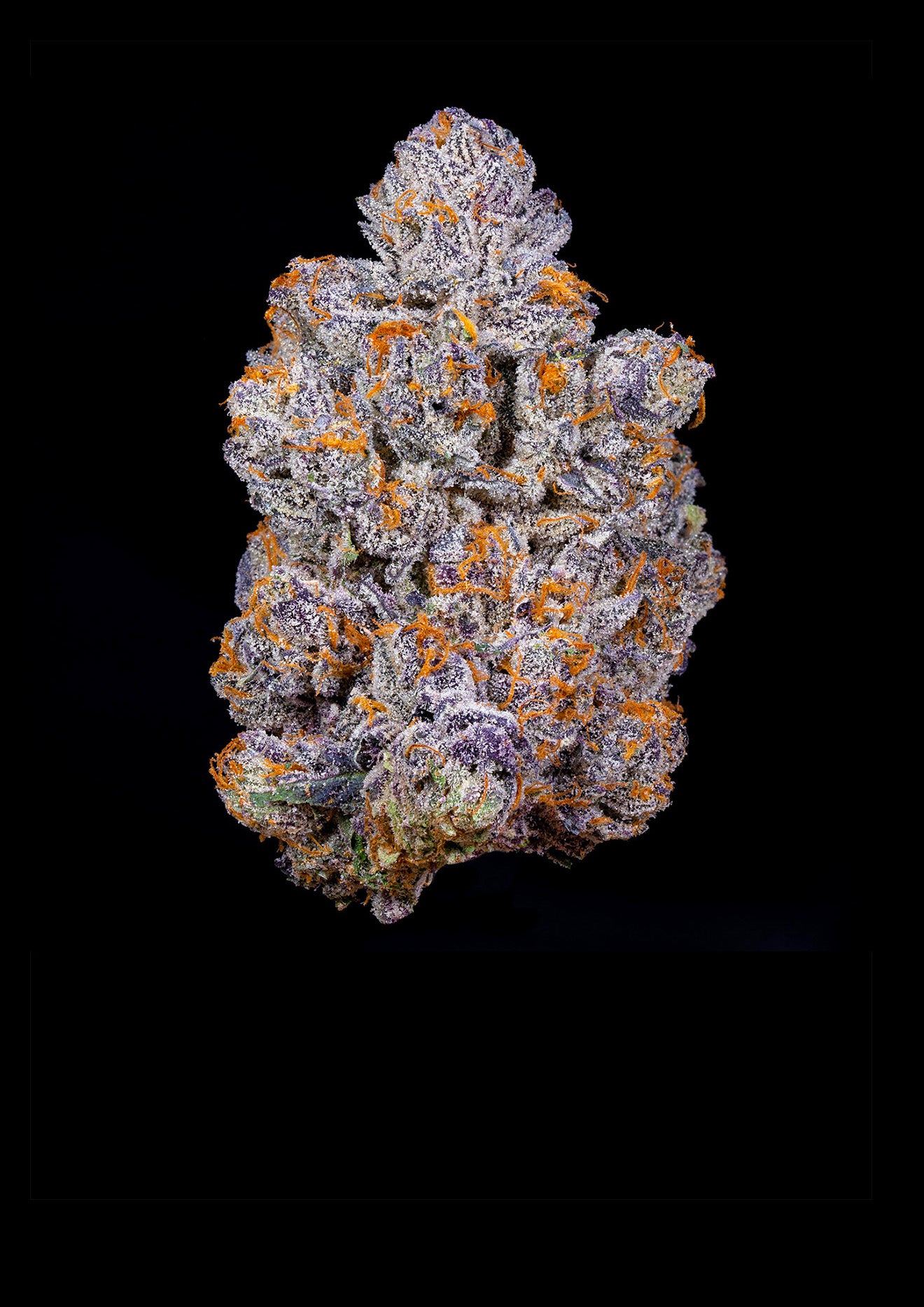 Biscotti — Eighth