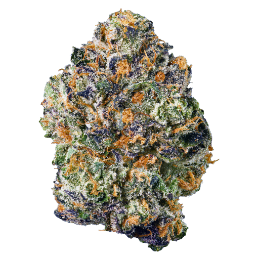 Oasis OG