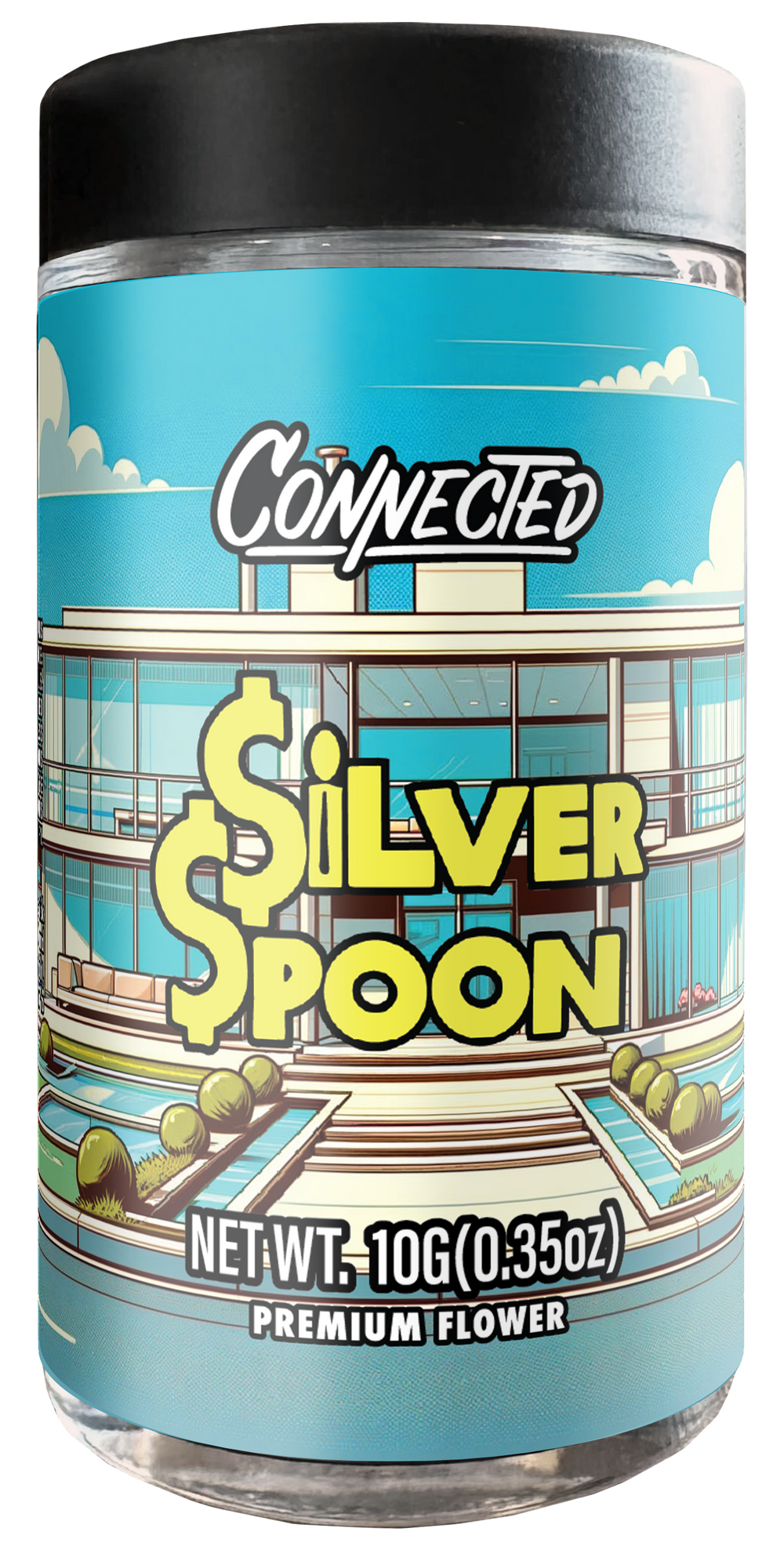 Silver Spoon 10g