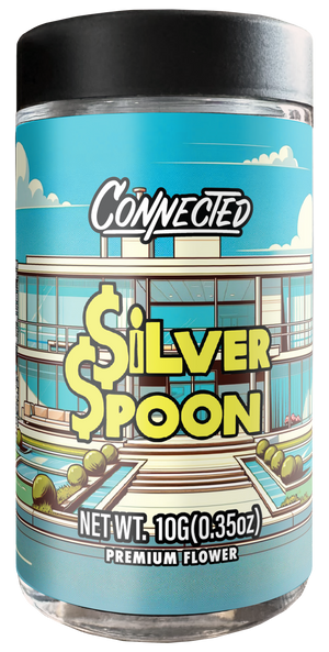 Silver Spoon 10g