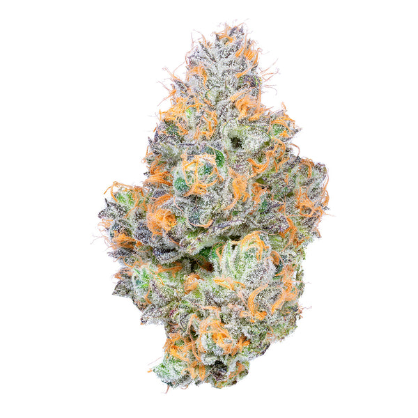 Tropical Z