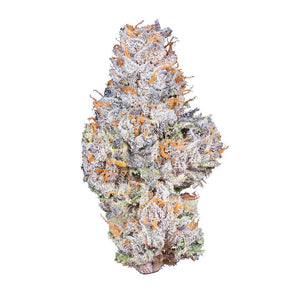 Gelato 41 - Connected Cannabis Co
