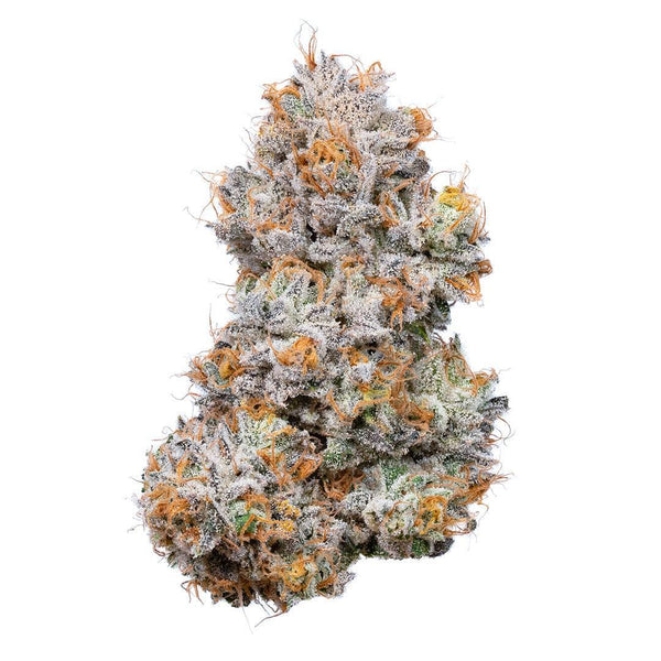 Highrise - Connected Cannabis Co